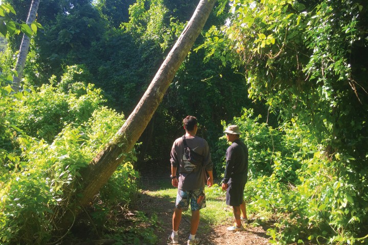People enjoying an eco hike through the jungle