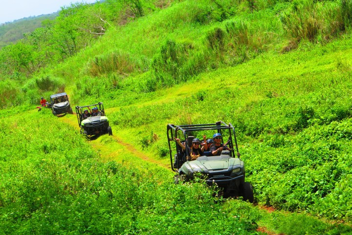Four off-road vehicles driving through lush green meadow.