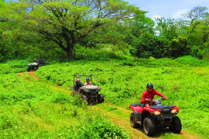 Three ATVs driving on a grassy trail with trees in the background.