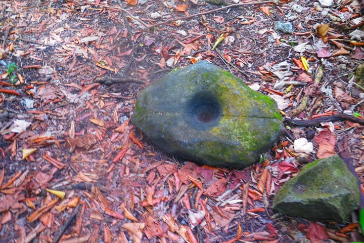 Rock with a deep hole on forest floor amid leaves.
