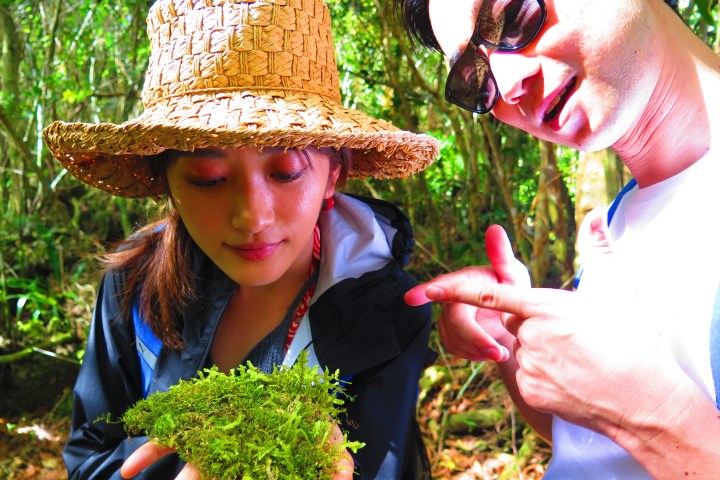 Two people examining moss in a forest, one wearing a straw hat.