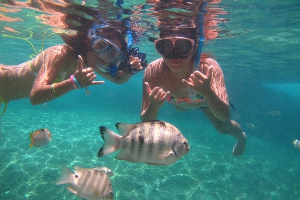a person swimming in a pool of water