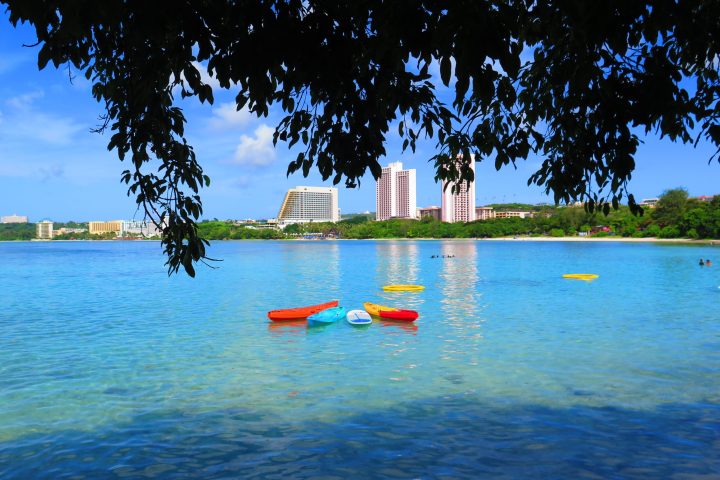 a group of people swimming in a body of water