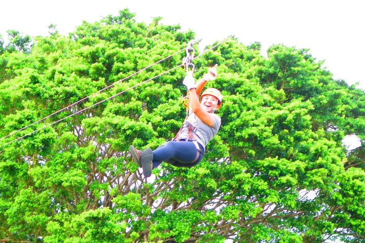 Person ziplining in front of a large leafy tree.