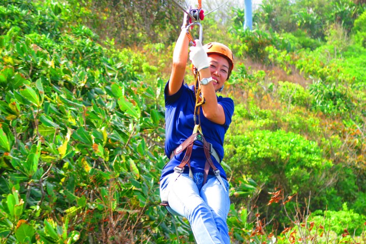 Person ziplining through lush green forest.